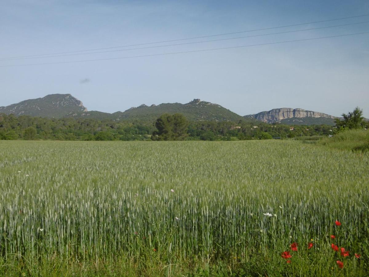 לינה וארוחת בוקר Saint-Mathieu-de-Tréviers Le Castellas Du Pic St Loup מראה חיצוני תמונה