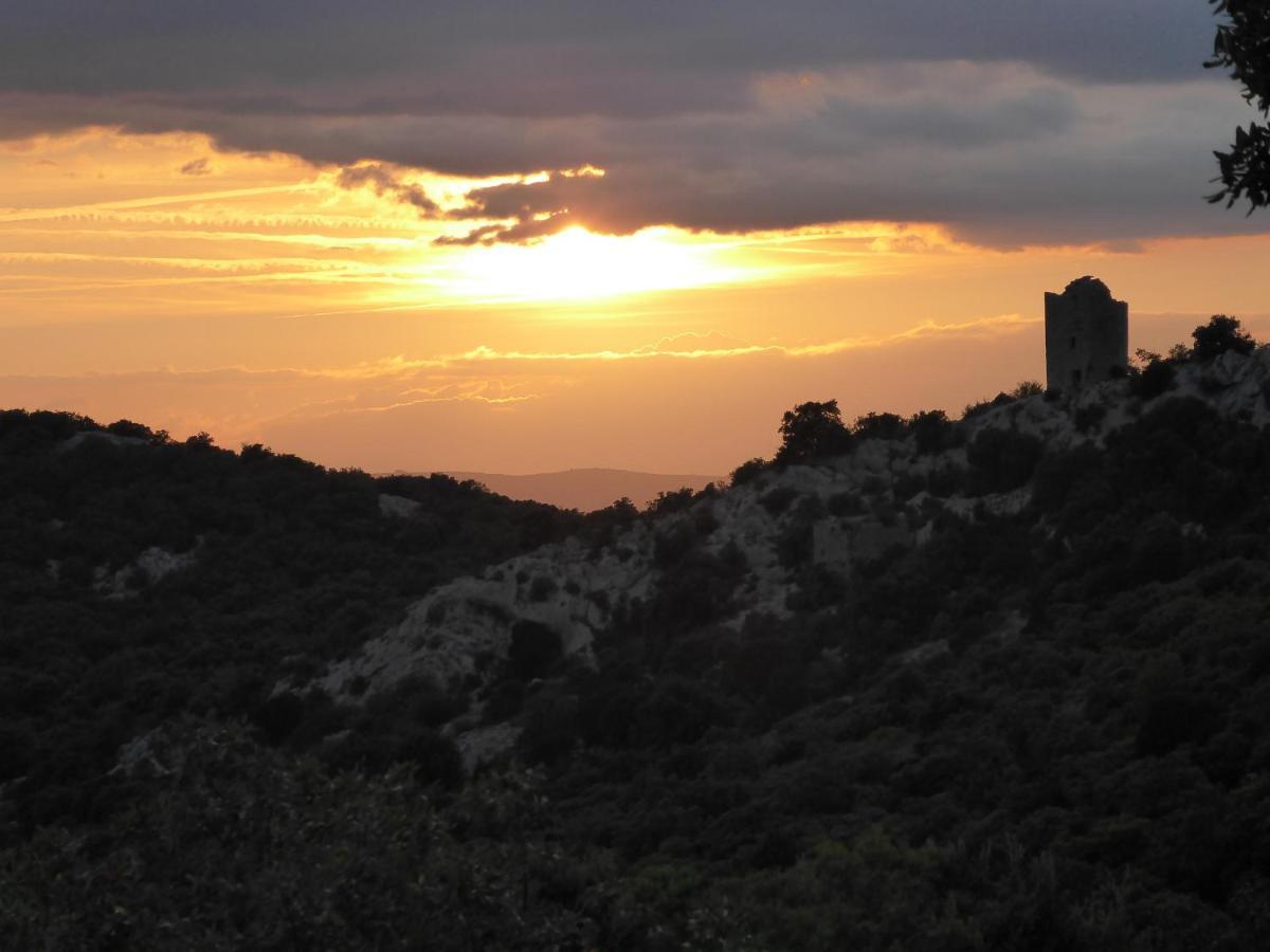 לינה וארוחת בוקר Saint-Mathieu-de-Tréviers Le Castellas Du Pic St Loup מראה חיצוני תמונה