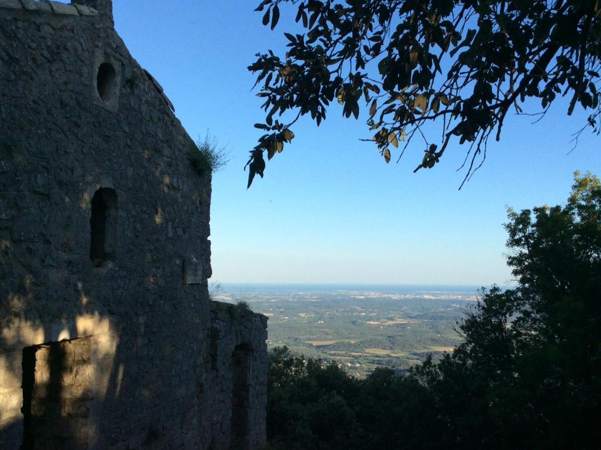 לינה וארוחת בוקר Saint-Mathieu-de-Tréviers Le Castellas Du Pic St Loup מראה חיצוני תמונה