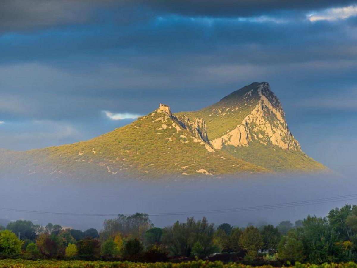 לינה וארוחת בוקר Saint-Mathieu-de-Tréviers Le Castellas Du Pic St Loup מראה חיצוני תמונה