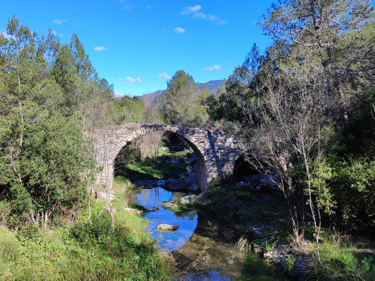 לינה וארוחת בוקר Saint-Mathieu-de-Tréviers Le Castellas Du Pic St Loup מראה חיצוני תמונה